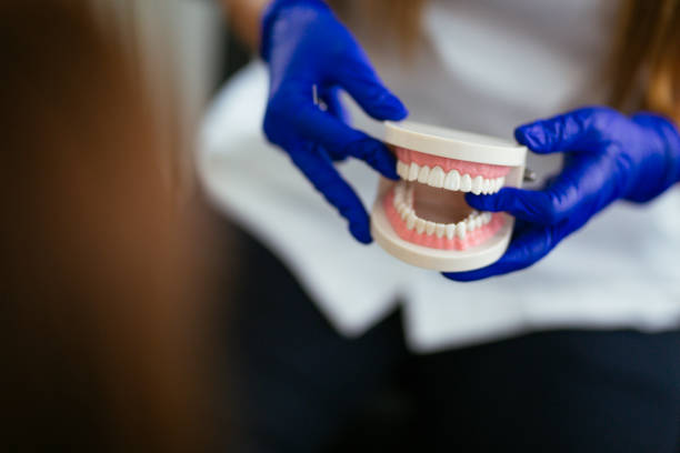 Best Root Canal Treatment  in Deer Lodge, MT